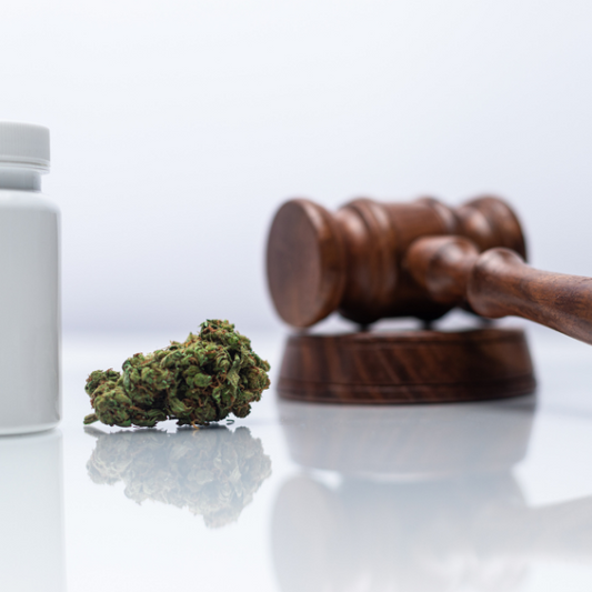 Cannabis légal bienêtre CBD et complément alimentaire depuis 2016, commandant costaud