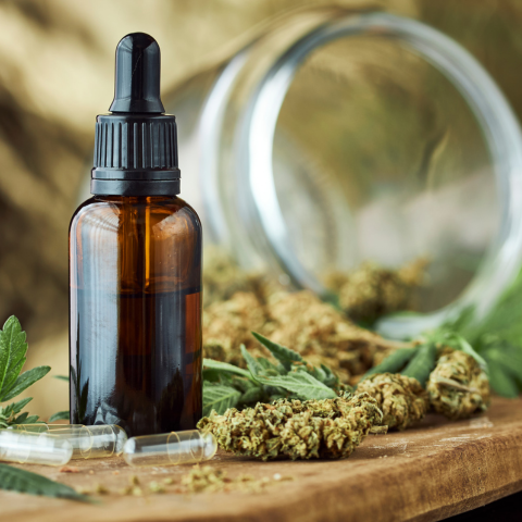 À la Découverte du CBD : Une Merveille Naturelle au Cœur de l'Héritage Botanique