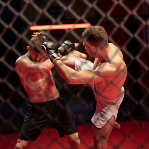 Débloquez Votre Potentiel : Les Bienfaits du CBD pour les Pratiquants de Sports de Combat