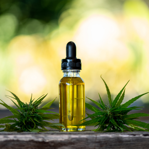 L'huile de CBD : Un Allié Bienfaisant pour le Bien-Être des Séniors