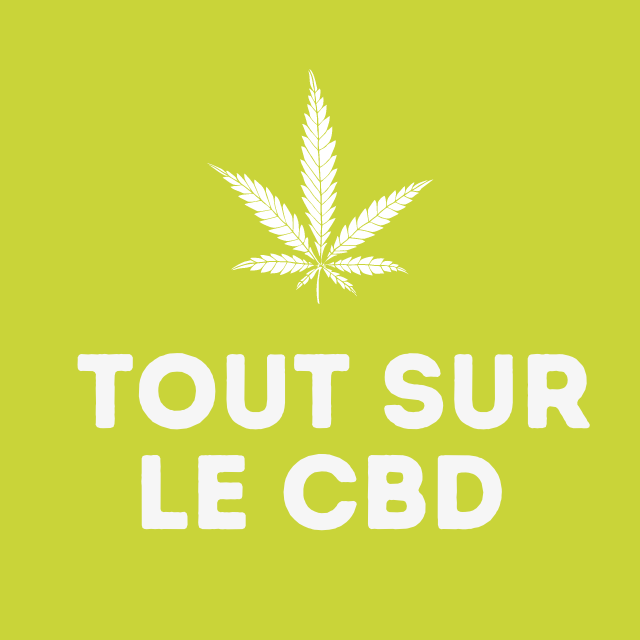 tout sur le CBD, cannabis légal, chanvres et ses effets sur le corps humain 