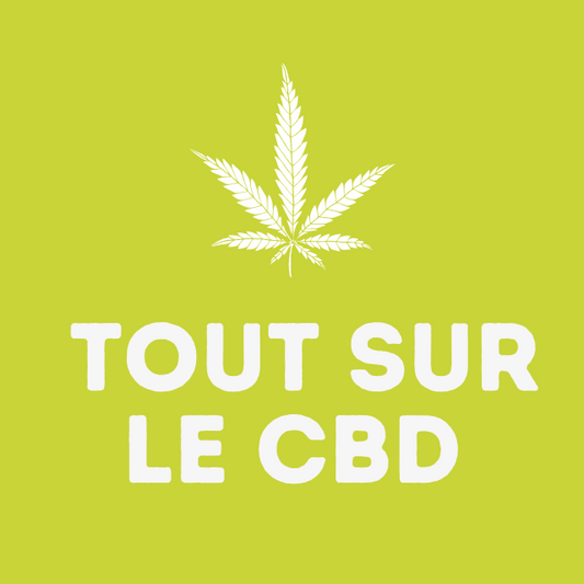 tout sur le CBD, cannabis légal, chanvres et ses effets sur le corps humain 