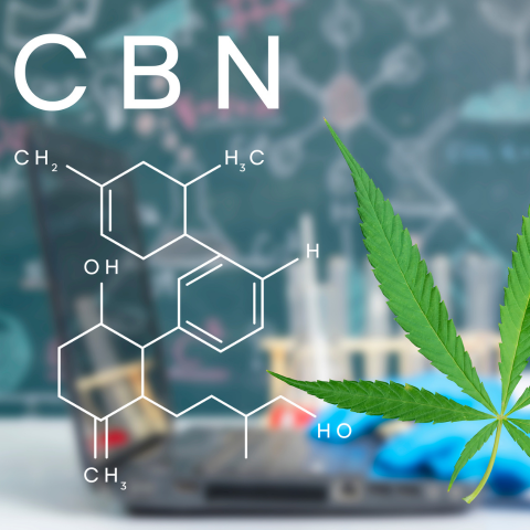 Le CBN : La Clef Secrète pour Maximiser Vos Performances en Musculation et Sports de Force