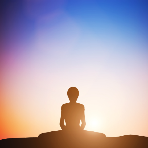 Explorez les Merveilles du CBD : Un Guide vers un Lifestyle Equilibré et Epanouissant !