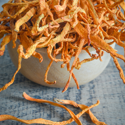 MUSHROOMS FOCUS | Cordyceps - Crinière de Lion - Ginseng Coréen - Ginkgo Biloba | 30 gélules