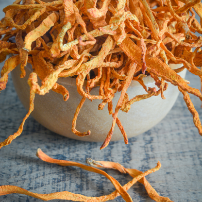 MUSHROOMS FOCUS | Cordyceps - Crinière de Lion - Ginseng Coréen - Ginkgo Biloba | 30 gélules