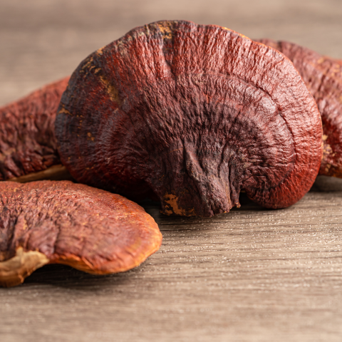 MUSHROOMS IMMUNITY | Reishi - Chaga - Crinière de Lion - Maitake | 30 gélules