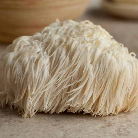 MUSHROOMS SPORT | Crinière de Lion | 30 gélules