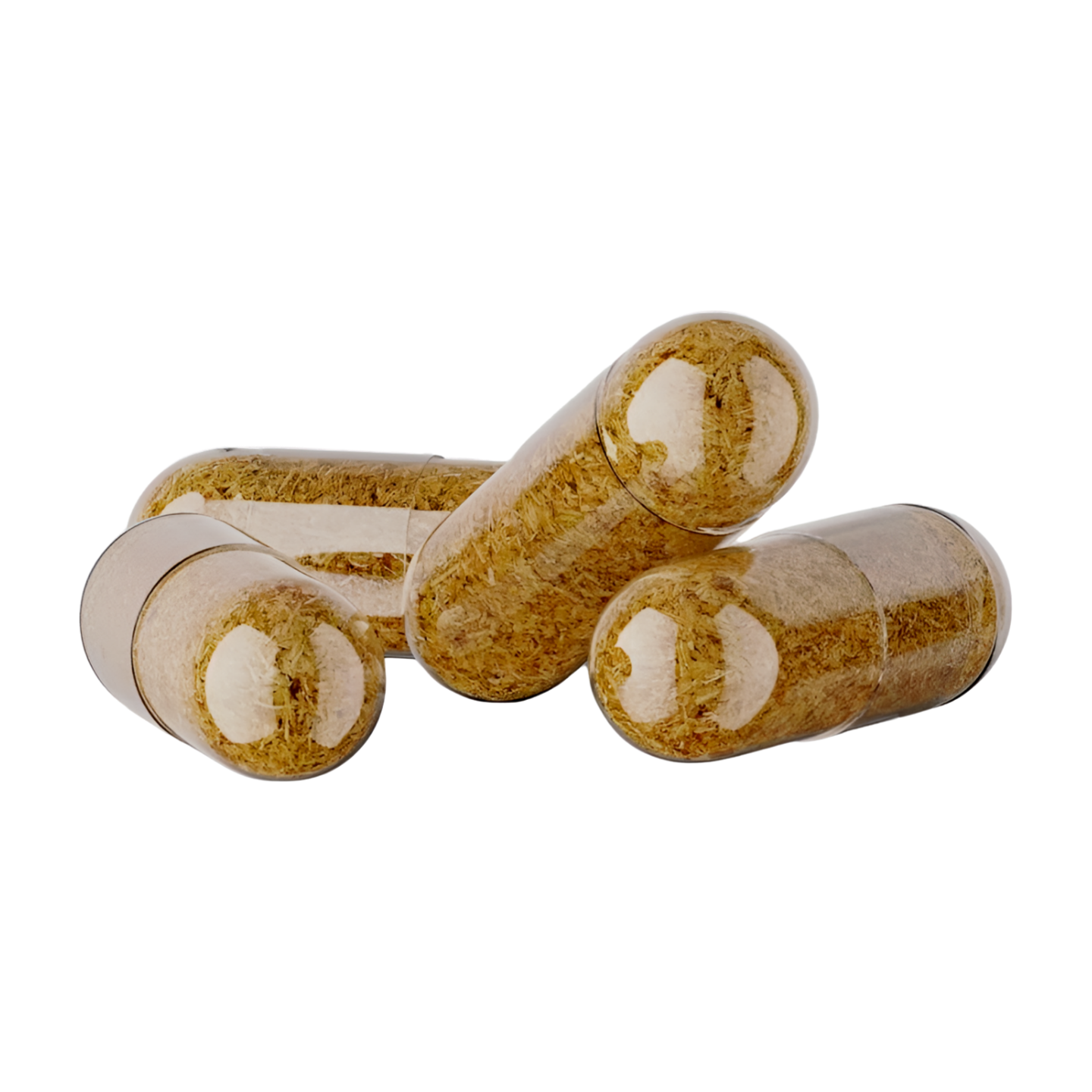 MUSHROOMS WEIGHT LOSS | Bélier - Lanophile - Chaga | 30 gélules