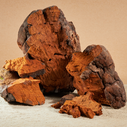 MUSHROOMS WEIGHT LOSS | Bélier - Lanophile - Chaga | 30 gélules