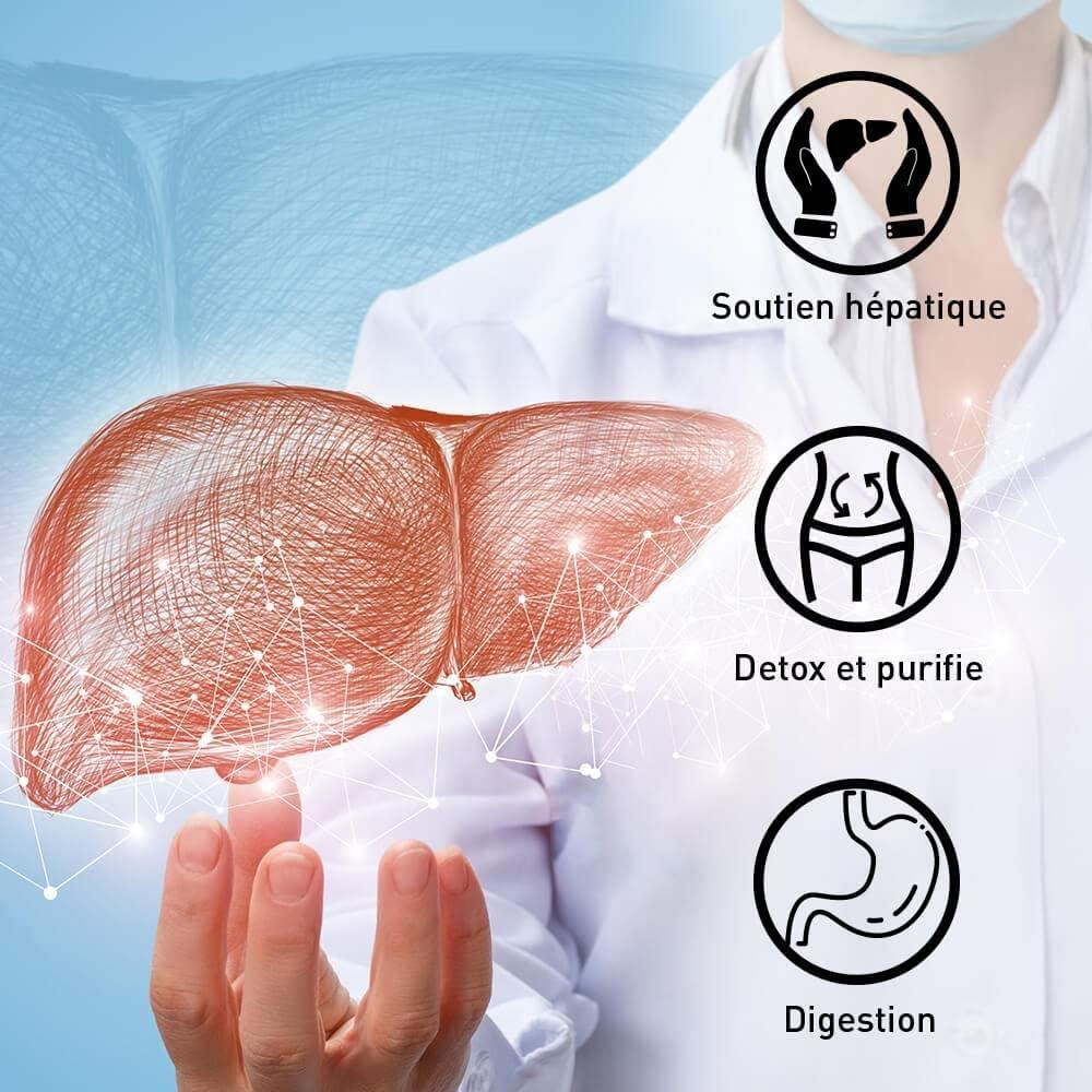 Detox du foie efficace | LIV.OX® 60