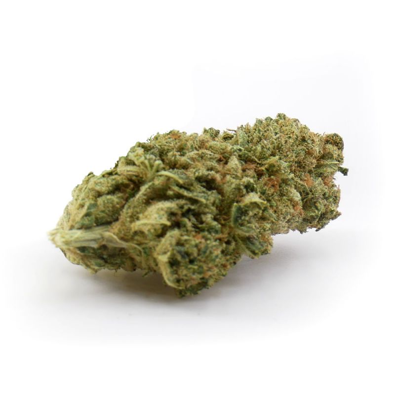 Fleur OG KUSH | 3.6% CBD | INDOOR | PREMIUM COLLECTION