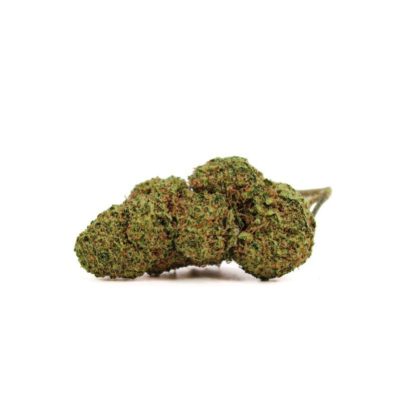 Fleur Californienne NORTH THUNDERFUCK | 9.5% CBD | HYDROPONIE | SUPREME COLLECTION
