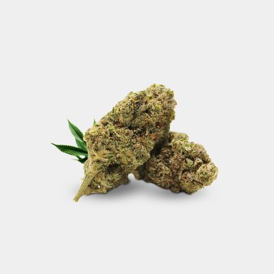 Fleur PLUTONIUM HAZE | 10% THCJD | INDOOR | SUPREME COLLECTION