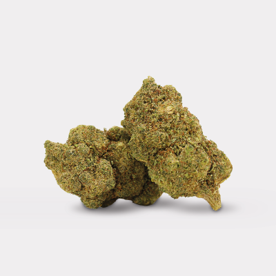 Fleur HIGH PEPITO | 10% THCPO | INDOOR | SUPREME COLLECTION