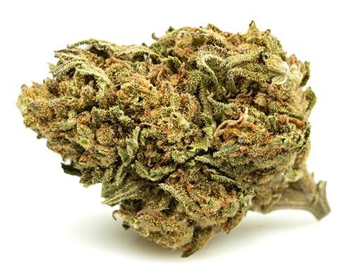 Fleur WHITE WIDOW | 5% CBD | INDOOR | PREMIUM COLLECTION