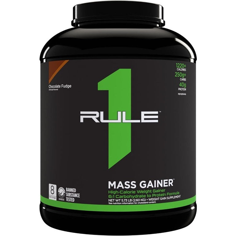 Mass Gainer, Chocolate Fudge - 2600 grams