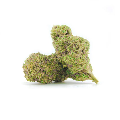 WAPANGA  | THCP 10% | INDOOR | SUPREME COLLECTION