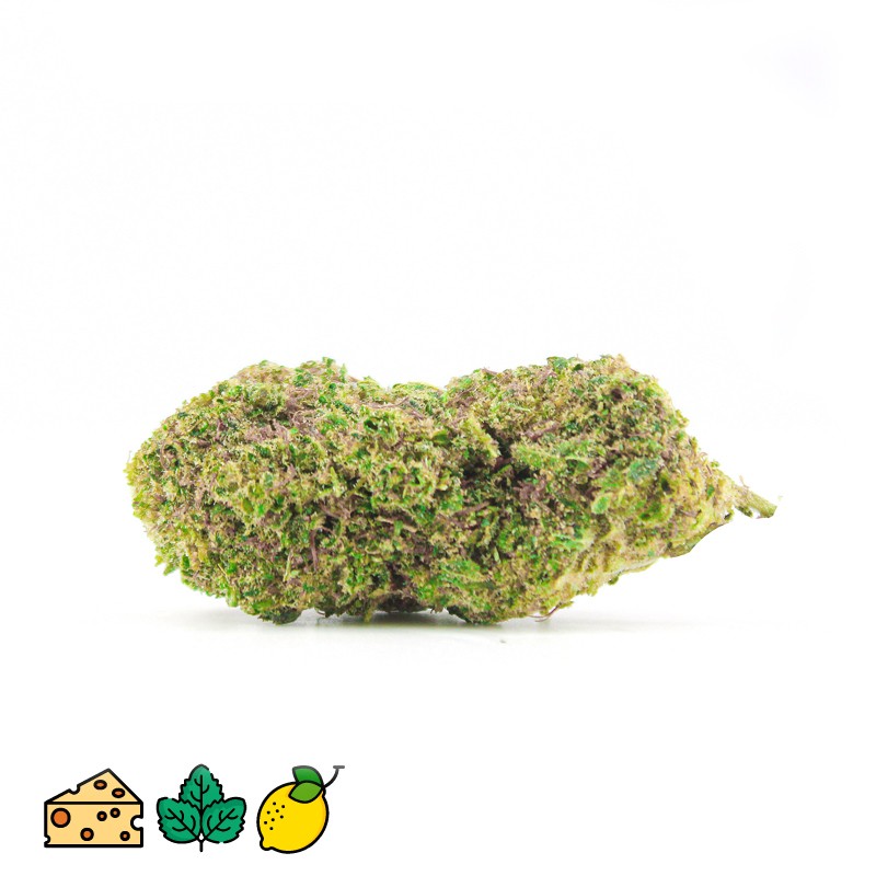 WAPANGA  | THCP 10% | INDOOR | SUPREME COLLECTION